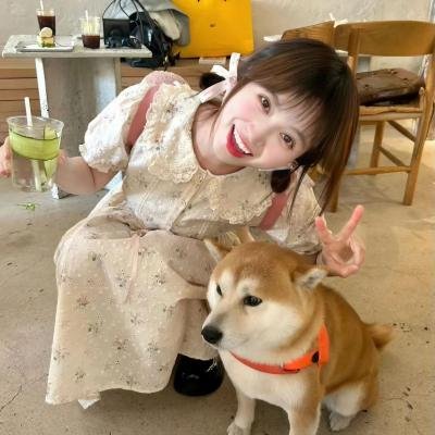 我的狗子